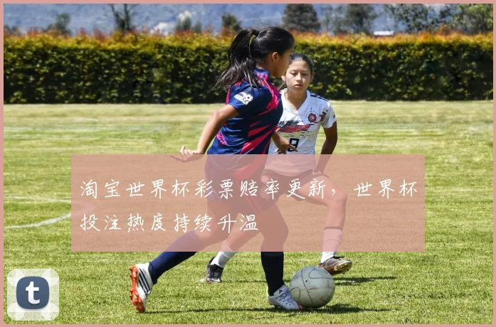 淘宝世界杯彩票赔率更新，世界杯投注热度持续升温