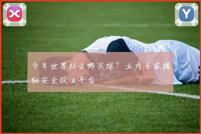 今年世界杯去哪买球?业内专家揭秘安全投注平台