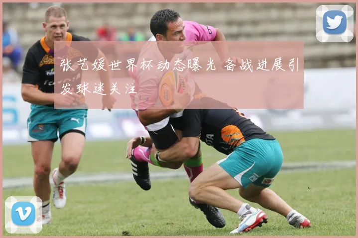张艺媛世界杯动态曝光 备战进展引发球迷关注