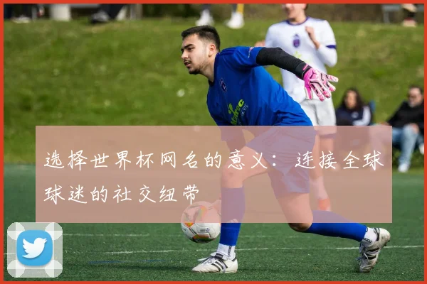 选择世界杯网名的意义:连接全球球迷的社交纽带