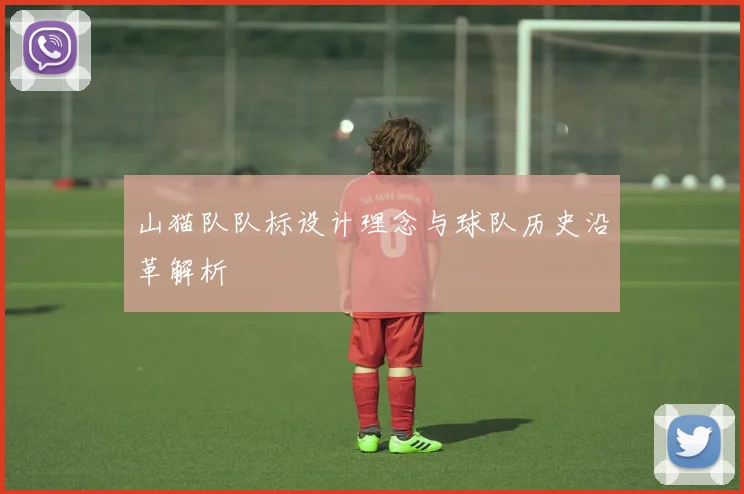 山猫队队标设计理念与球队历史沿革解析