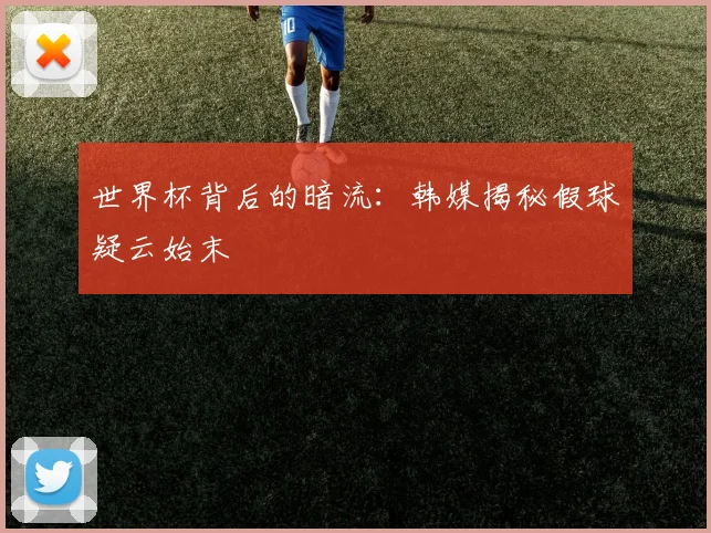世界杯背后的暗流：韩媒揭秘假球疑云始末
