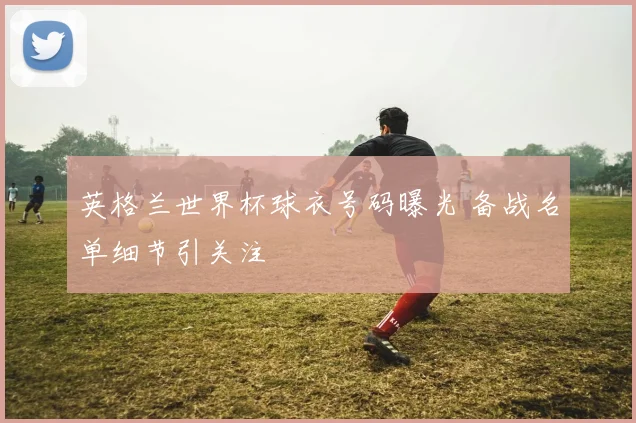 英格兰世界杯球衣号码曝光 备战名单细节引关注