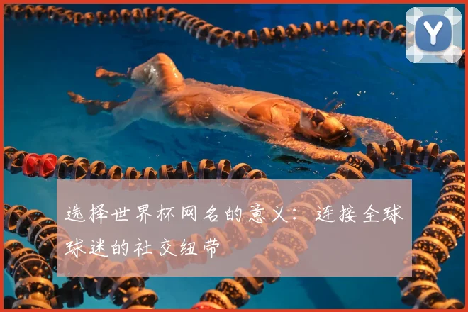 选择世界杯网名的意义：连接全球球迷的社交纽带