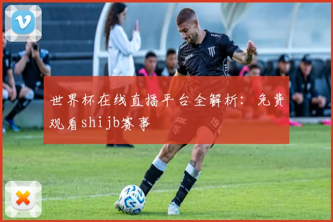世界杯在线直播平台全解析:免费观看shijb赛事